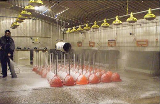 KEEPING YOUR FARMS, HATCHERIES AND FACILITIES
CLEAN & DISINFECTED
