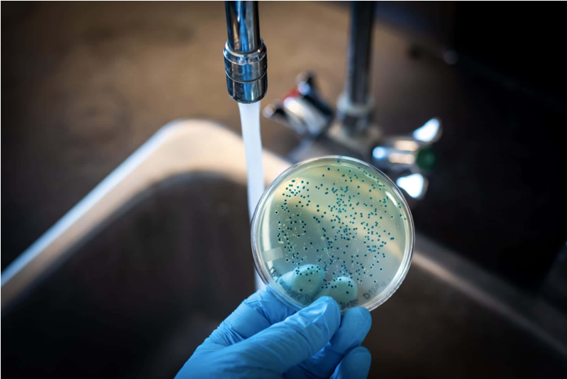 Role of Bacteria Culture in Water Treatment: Why It Matters